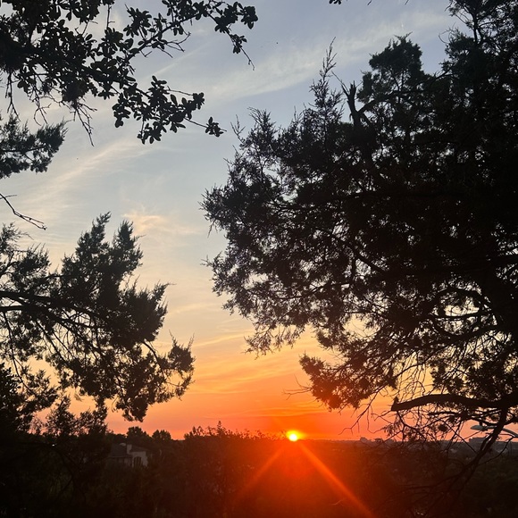 Profile Picture of Sophie Driesen (@sophiedriesen) on Poshmark