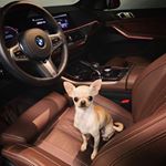 Profile Picture of Hugo Sáez (@hugosafi) on Instagram