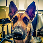 Profile Picture of Colin Klein (@colinkleinnl) on Flickr