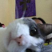 Profile Picture of Tess Warren (@tess-warren-1) on Quora