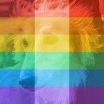 Profile Picture of James Galway (@jamesgalway) on Instagram