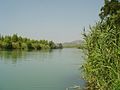 Profile Picture of Dalaman Riveron Wikipedia