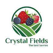 Profile Picture of Crystal Fields (@crystalfields6322) on Youtube