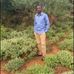 Profile Picture of Jama Omar (@Jama-Omar) on Facebook