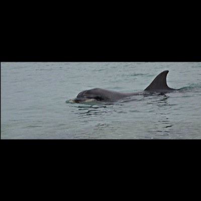 Profile Picture of Tara Cooley (@taracooley__) on Twitter