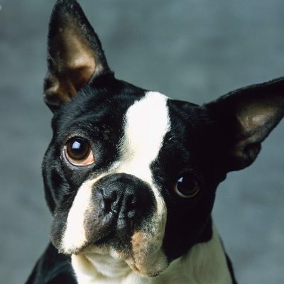 Profile Picture of Dave Gajewski (@DaveBuick1711) on Twitter