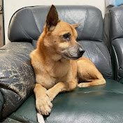 Profile Picture of WEN CHIAO (@wenchiao2582) on Youtube