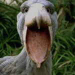 Profile Picture of Jacob Matthew (@jake_ruehl) on Instagram