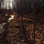 Profile Picture of Andrew Stoker (@astoker74) on Instagram