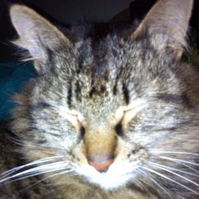 Profile Picture of Joan Hughes (@Joanzrvt) on Twitter