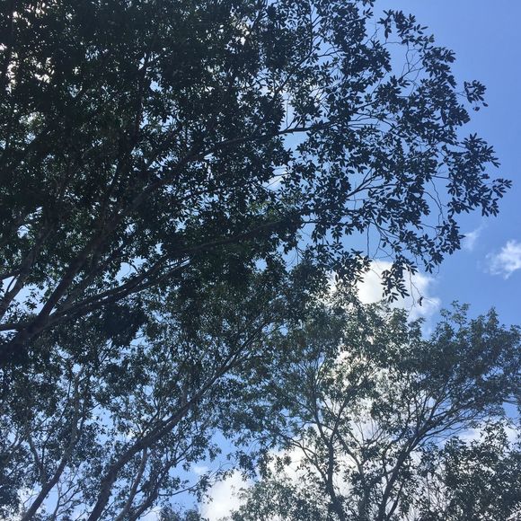 Profile Picture of Andy Gee (@apg400) on Poshmark