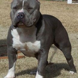 Profile Picture of Andrew Peralta (@340560579) on Myspace