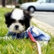 Profile Picture of Jooyoung Kim (@lovejuju05) on Youtube