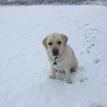 Profile Picture of Neil:) (@neil.dover) on Instagram