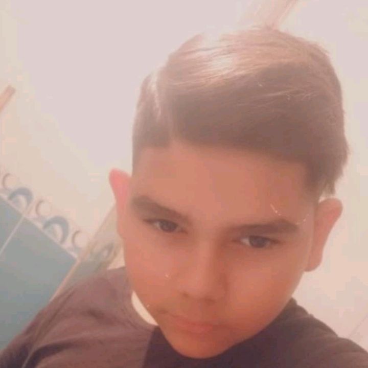 Profile Picture of David Silistarevic55 (@davidsilistarevic1) on Tiktok
