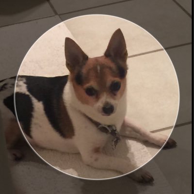 Profile Picture of Lisa Cole (@lisabole2) on Twitter