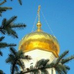 Profile Picture of Bickmarsh (@bickmarshcl) on Instagram