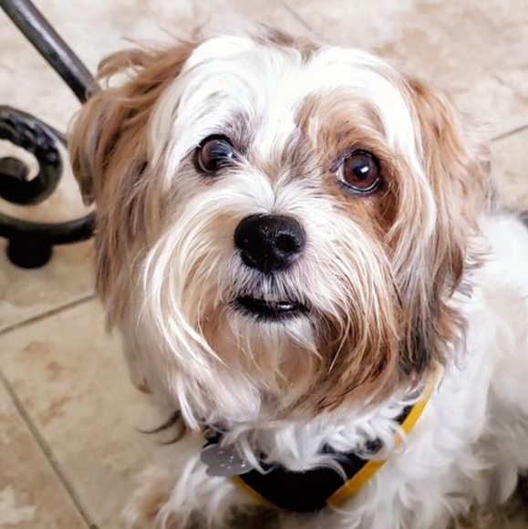 Profile Picture of Gary Jacobs (@gij5001) on Poshmark