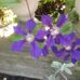 Profile Picture of Kathy Demos (@kathy.demos.9) on Facebook