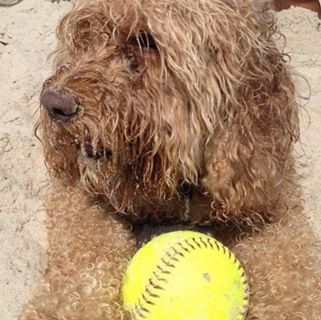 Profile Picture of James Mac Burnie (@james.m.burnie) on Facebook