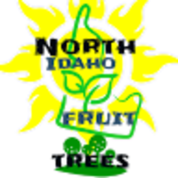 Profile Picture of Jeff Bundy (@jeffbundy) on Poshmark