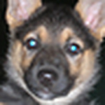 Profile Picture of michael gouker (@gouker) on Flickr