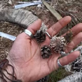 Profile Picture of Randall Weiss (@weiss_randall) on Instagram