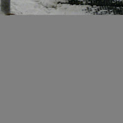 Profile Picture of Cameron Barlow (@cameronbarlow1756) on Youtube