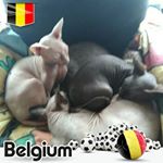 Profile Picture of Nancy Dhondt (@nancy.dhondt.54) on Instagram