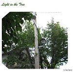 Profile Picture of Michelle Fleury (@feeling of a tree.....) on Flickr