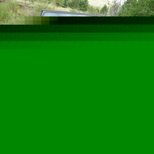 Nicholas Kindrick - Myspace Profile Picture of Nicholas Kindrick (@kingtree7) on Myspace