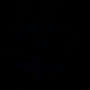 Profile Picture of Raul Lucero (@crl77raullucero) on Twitter