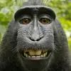 Profile Picture of callen Clanton (@callen_clanton) on Tiktok