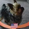 Profile Picture of rubyjomccullough (@rubyjomccullough) on Tiktok