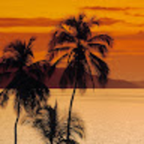 Profile Picture of Cynthia Gaudiuso (@cynthiafg2003) on Poshmark