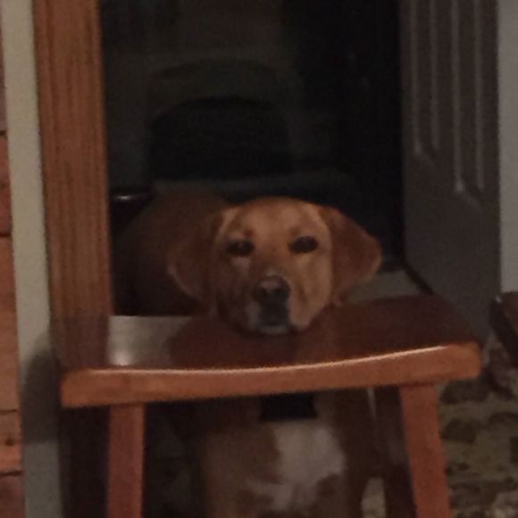 Profile Picture of Cheryl Lowe (@dl104809) on Poshmark