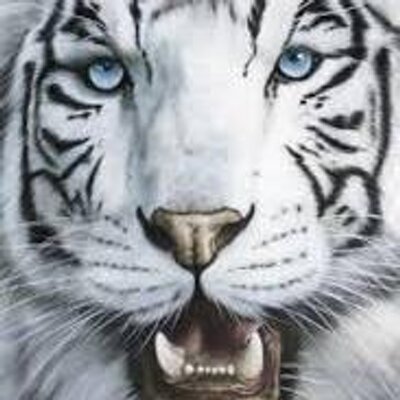 Profile Picture of GUSTAVO CLAVIJO (@gusclare14) on Twitter