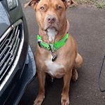 Profile Picture of Frizzell Victoria Chris (@frizzell.victoria.chris) on Instagram