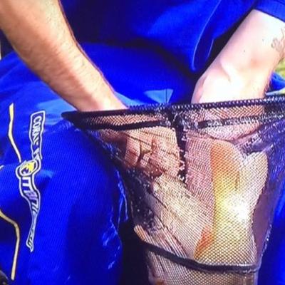 Profile Picture of Wayne Taylor (@waynemap) on Twitter