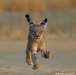 Profile Picture of Calvin Wyatt (@Calvin-Wyatt) on Facebook