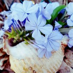 Profile Picture of grillo (@luciagrillo) on Tiktok