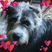 Profile Picture of Jennifer Prewitt (@Jennifer-Prewitt) on Facebook