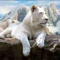Profile Picture of Gerald Jennings (@gerald-jennings-6) on Quora