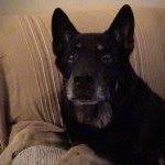 Profile Picture of Carlos Nazario (@carlos.nazario.12935) on Facebook