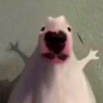 Profile Picture of leia jones🎄 (@hi.im.leiaa) on Instagram