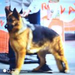 Profile Picture of Juan Iñigo (@inigo636) on Instagram