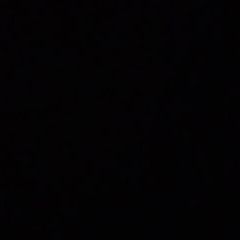 Profile Picture of Daniel Blackerby (@daniel.blackerby) on Tiktok