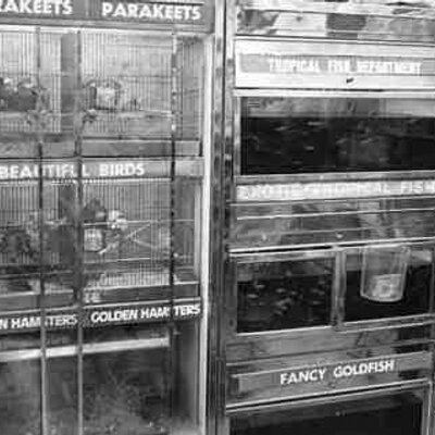 Profile Picture of William Hinshaw (@hinshawbill) on Twitter