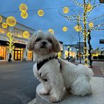 Profile Picture of Andy Huynh (@an_day22) on Instagram