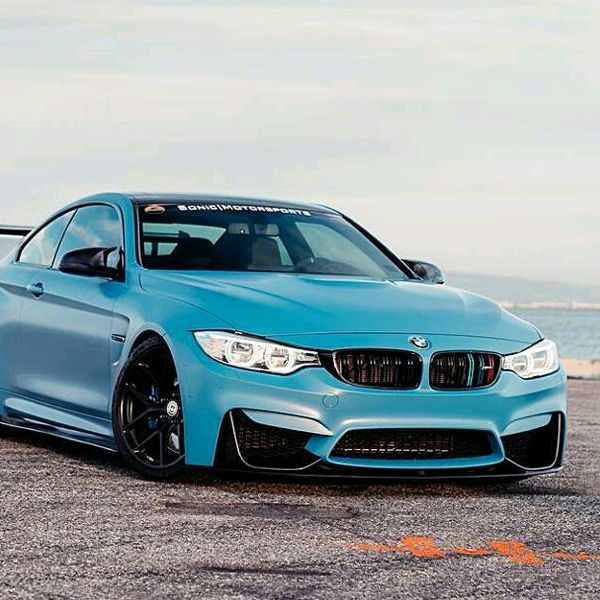 Profile Picture of robinguinot (@robinguinot) on Tiktok